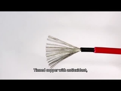 DC는 검은 빨간 태양 전지판 PV 케이블 4mm2를 두배 격리된 품질 전선라고 평가했습니다